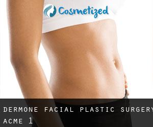 DermOne Facial Plastic Surgery (Acme) #1