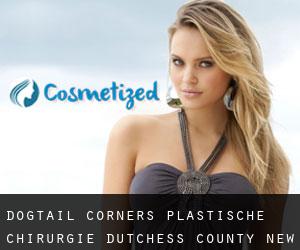 Dogtail Corners plastische chirurgie (Dutchess County, New York)