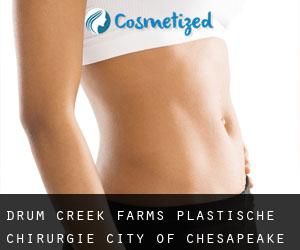 Drum Creek Farms plastische chirurgie (City of Chesapeake, Virginia)