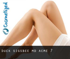Duck Sigsbee MD (Acme) #7