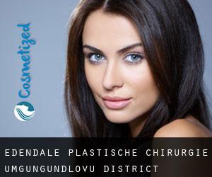 Edendale plastische chirurgie (uMgungundlovu District Municipality, KwaZulu-Natal)