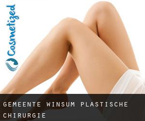 Gemeente Winsum plastische chirurgie