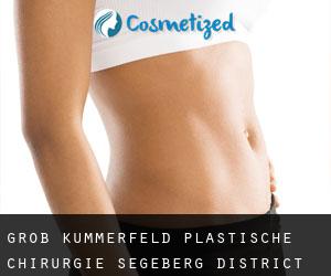 Groß Kummerfeld plastische chirurgie (Segeberg District, Schleswig-Holstein)