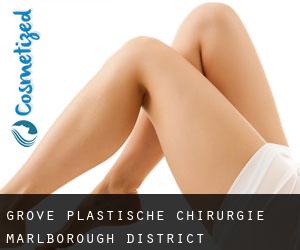 Grove plastische chirurgie (Marlborough District, Marlborough)