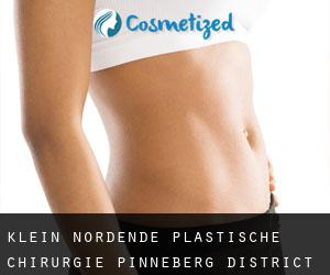 Klein Nordende plastische chirurgie (Pinneberg District, Schleswig-Holstein)