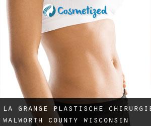 La Grange plastische chirurgie (Walworth County, Wisconsin)