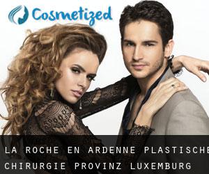 La Roche-en-Ardenne plastische chirurgie (Provinz Luxemburg, Walloon Region)