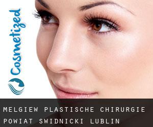 Mełgiew plastische chirurgie (Powiat świdnicki (Lublin Voivodeship), Woiwodschaft Lublin)