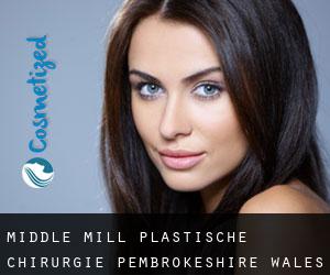 Middle Mill plastische chirurgie (Pembrokeshire, Wales)