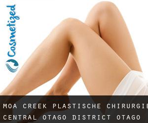 Moa Creek plastische chirurgie (Central Otago District, Otago)
