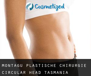 Montagu plastische chirurgie (Circular Head, Tasmania)