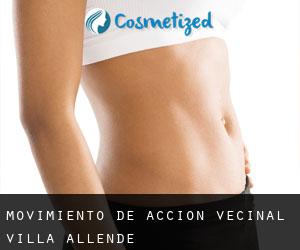 Movimiento de Acción Vecinal (Villa Allende)