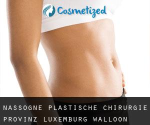 Nassogne plastische chirurgie (Provinz Luxemburg, Walloon Region)
