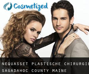 Nequasset plastische chirurgie (Sagadahoc County, Maine)