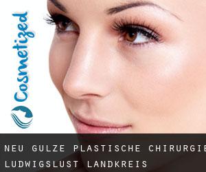 Neu Gülze plastische chirurgie (Ludwigslust Landkreis, Mecklenburg-Vorpommern)