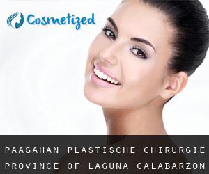 Paagahan plastische chirurgie (Province of Laguna, Calabarzon)