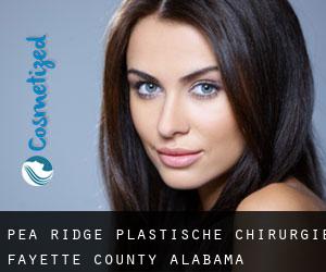 Pea Ridge plastische chirurgie (Fayette County, Alabama)