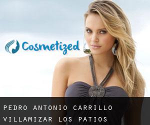 Pedro Antonio Carrillo Villamizar (Los Patios)