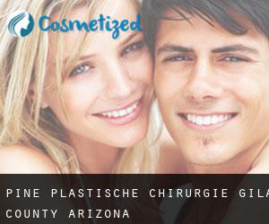 Pine plastische chirurgie (Gila County, Arizona)