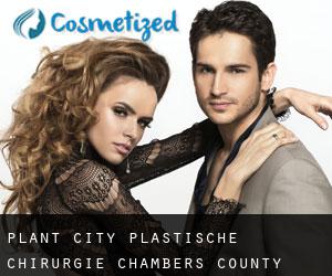 Plant City plastische chirurgie (Chambers County, Alabama)