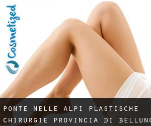 Ponte nelle Alpi plastische chirurgie (Provincia di Belluno, Venetien)