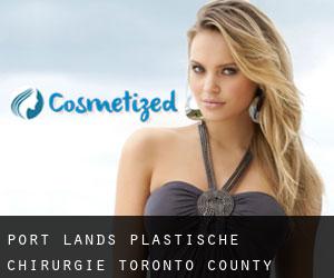 Port Lands plastische chirurgie (Toronto county, Ontario)