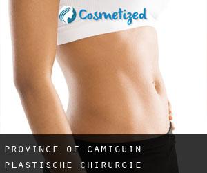 Province of Camiguin plastische chirurgie