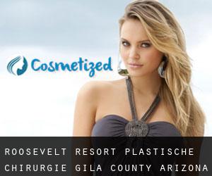 Roosevelt Resort plastische chirurgie (Gila County, Arizona)