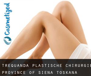 Trequanda plastische chirurgie (Province of Siena, Toskana)