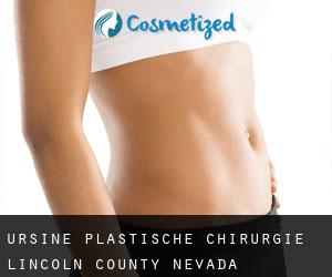 Ursine plastische chirurgie (Lincoln County, Nevada)