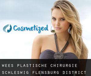 Wees plastische chirurgie (Schleswig-Flensburg District, Schleswig-Holstein)