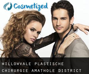 Willowvale plastische chirurgie (Amathole District Municipality, Eastern Cape)