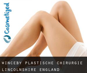 Winceby plastische chirurgie (Lincolnshire, England)