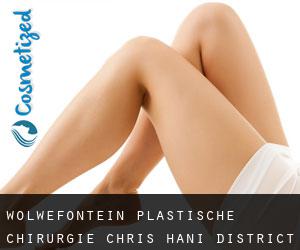 Wolwefontein plastische chirurgie (Chris Hani District Municipality, Eastern Cape)