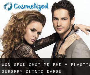 Won Seok CHOI MD, PhD. V Plastic Surgery Clinic (Daegu)