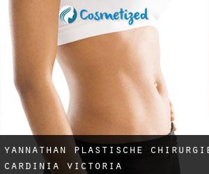 Yannathan plastische chirurgie (Cardinia, Victoria)